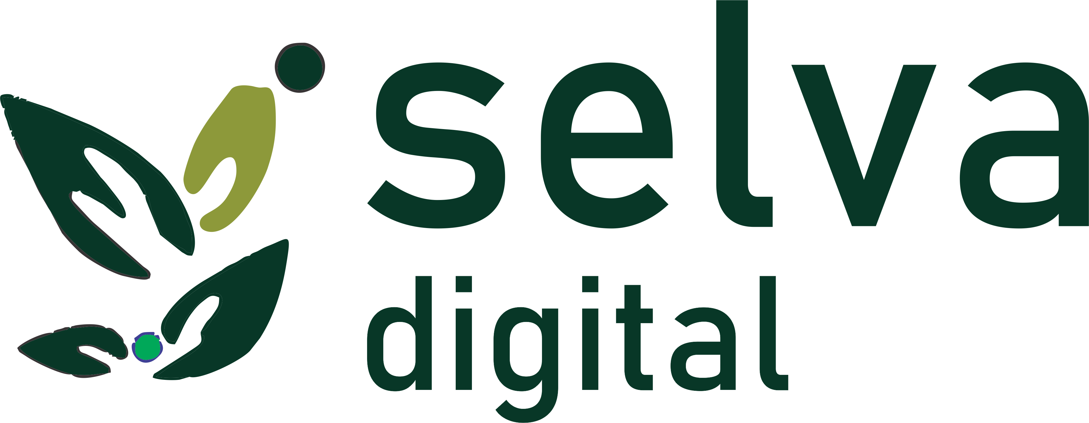 Selva Digital Logo